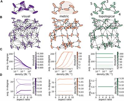 Spatial Structure and Information Transfer in Visual Networks